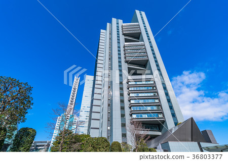 << Saitama Prefecture >> Saitama New Urban Center, urban scenery 36803377