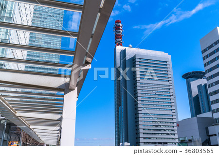 << Saitama Prefecture >> Saitama New Urban Center, urban scenery 36803565