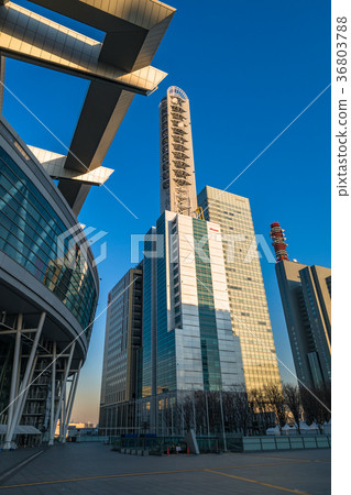 << Saitama Prefecture >> Saitama New Urban Center, urban scenery << Saitama Prefecture >> Saitama New Urban Center, urban scenery 36803788