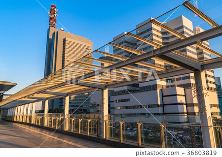 << Saitama Prefecture >> Saitama New Urban Center, urban scenery 36803819