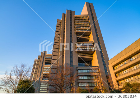 首页 照片 人物 男女 日本人 琦玉县新城中心 琦玉县新都心 政府办公