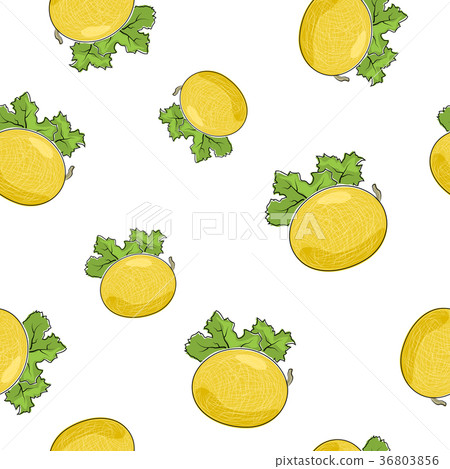 Seamless Pattern of Melon - Stock Illustration [36803856] - PIXTA