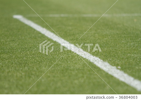 足球場人為草 足球場人為草 36804003