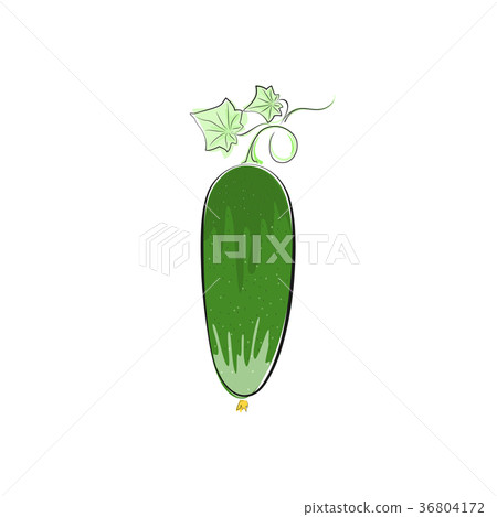 Cucumber Isolated on White Background Cucumber Isolated on White Background 36804172
