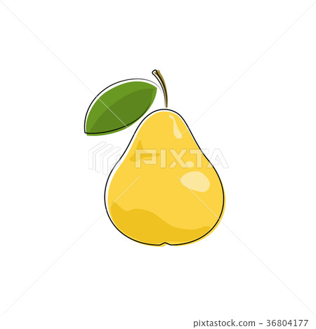 Yellow Pear Isolated on White Yellow Pear Isolated on White 36804177