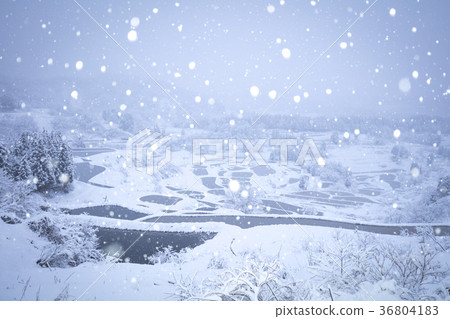 Niigata Prefecture Terada rice field snow landscape Niigata Prefecture Terada rice field snow landscape 36804183