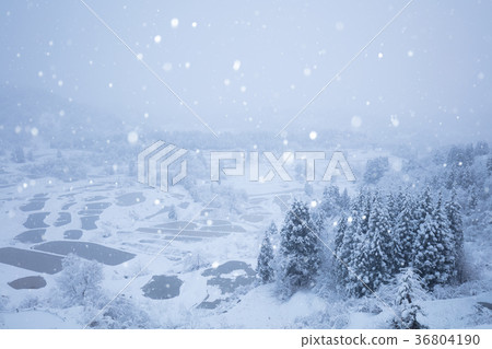 Niigata Prefecture Terada rice field snow landscape Niigata Prefecture Terada rice field snow landscape 36804190