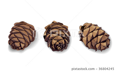 Cone icons set for your design Cone icons set for your design 36804245