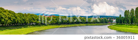 longest european linden alley in Uzhgorod longest european linden alley in Uzhgorod 36805911