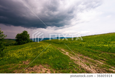 countryside road through grassy field 36805914