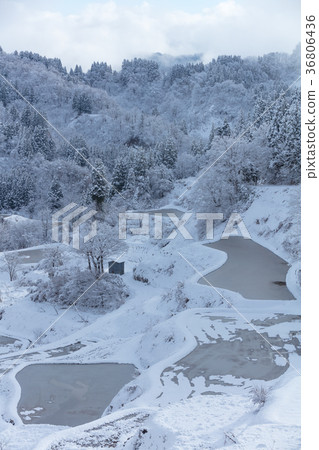 新潟縣桐生的田田雪景 36806436