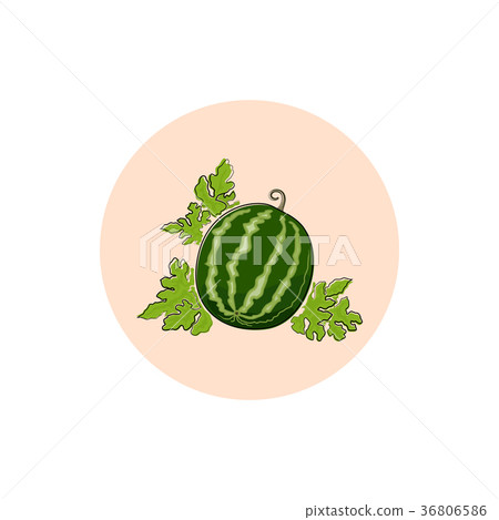 Icon Colorful Watermelon 36806586