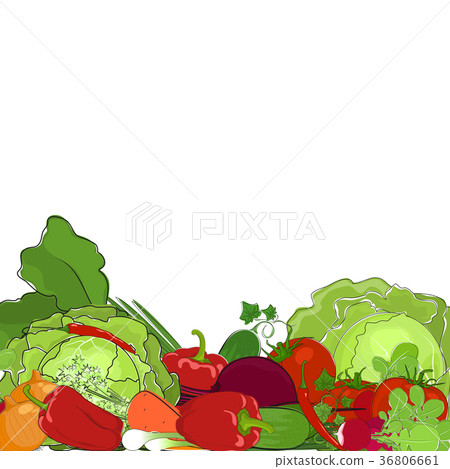 Fresh Raw Vegetables Fresh Raw Vegetables 36806661
