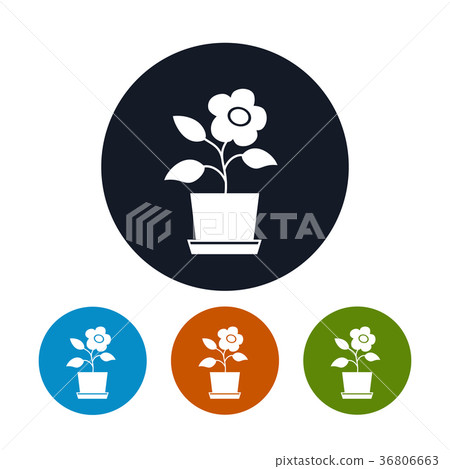 Four Types of Round Icons Flower Pot Four Types of Round Icons Flower Pot 36806663