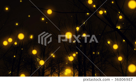 Bright Lights in an Autumn Forest Bright Lights in an Autumn Forest 36806987