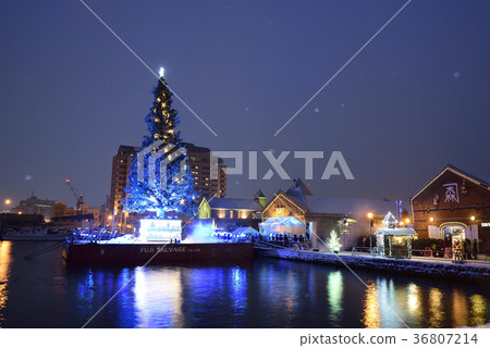 Shooting a Christmas Fantasy Giant Christmas Tree in the Hakodate Bay Area 36807214