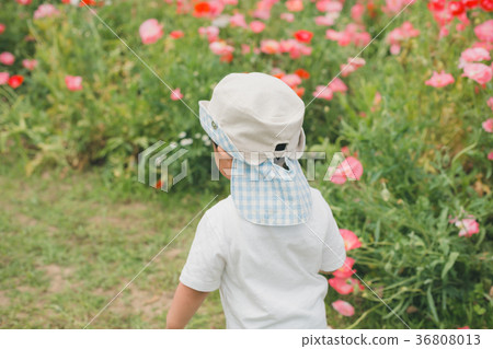 child, kid, younger 36808013