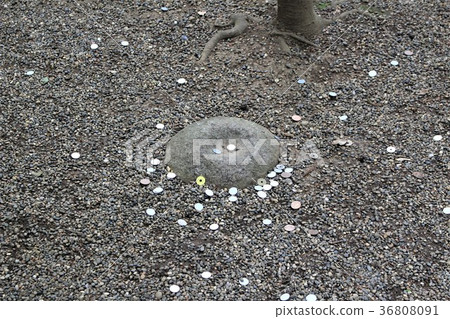 Kashima Jingu (necessary stone) 36808091