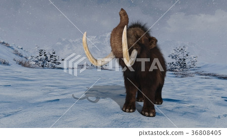 Mammoth 36808405