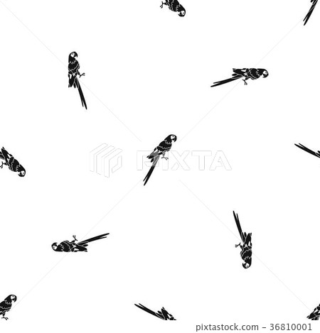 Brazilian parrot pattern seamless black Brazilian parrot pattern seamless black 36810001
