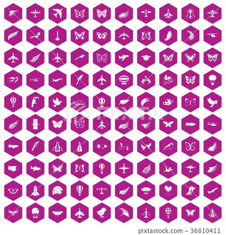 100 fly icons hexagon violet 36810411