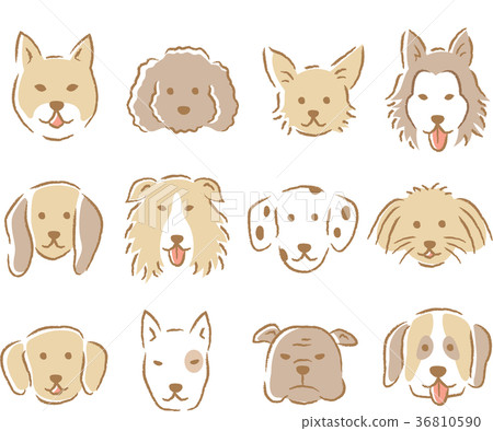 Dog Face Stock Illustrations – 123,715 Dog Face Stock