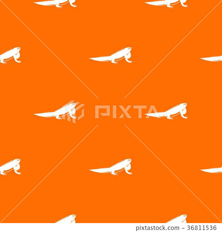Iguana pattern seamless Iguana pattern seamless 36811536