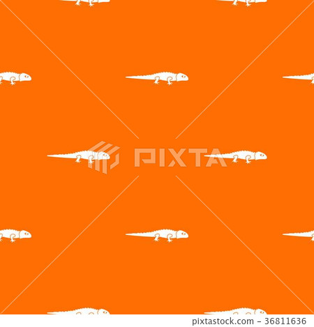 Iguana pattern seamless Iguana pattern seamless 36811636