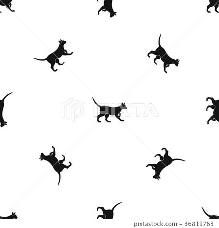 Cat pattern seamless black - Stock Illustration [36811763] - PIXTA