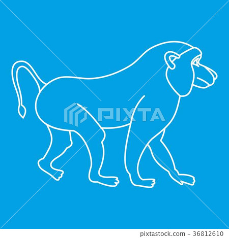 Macaque icon, outline style 36812610
