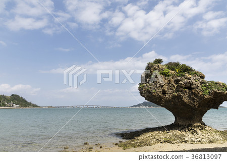 Hamahigashima Higa Ohashi 36813097