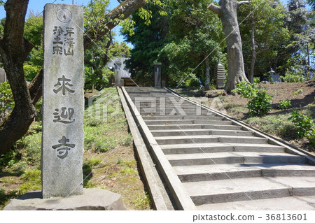 來迎萬億 36813601