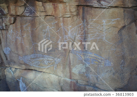 Baltimore National Aquarium Mural 36813903