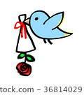 Present of bird love 36814029