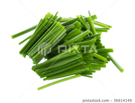 Chives flower or Chinese Chive isolated on white Chives flower or Chinese Chive isolated on white 36814149
