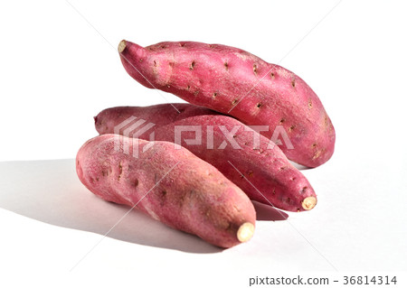 Sweet potato (when it will be gold) Sweet potato (when it will be gold) 36814314