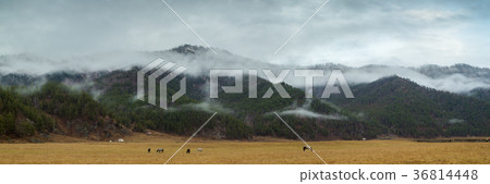 Autumn Landscape Mountain Autumn Landscape Mountain 36814448