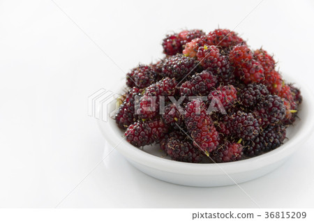Mulberry fruit 36815209