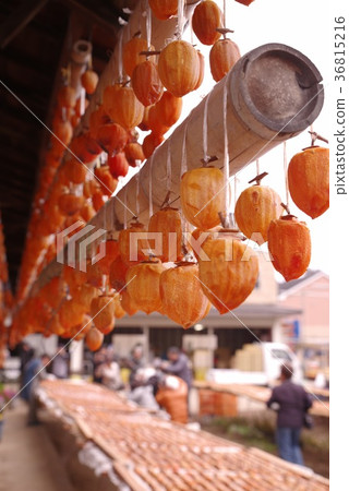 豐收節 豐收節 36815216