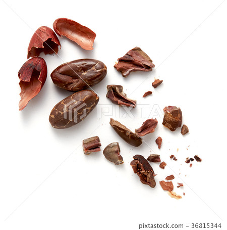 Cocoa beans (back fly, shadow iki) Cocoa beans (back fly, shadow iki) 36815344
