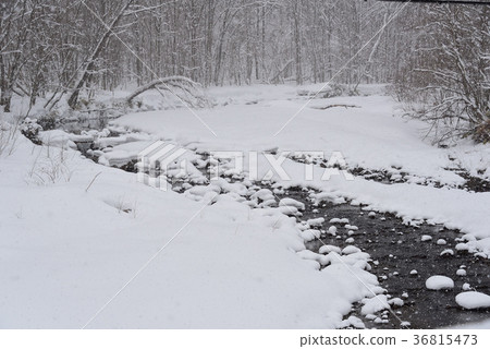 在北海道北斗市的中山山口拍攝一條白雪皚皚的河流的冬季景觀 36815473