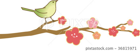 Uguisu plum branch 36815971