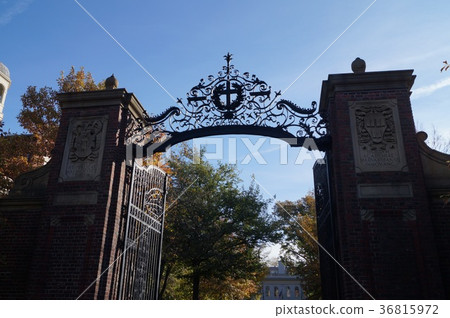 Johnston Gate, Harvard University, USA 36815972