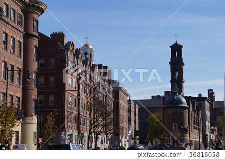 Buildings around Harvard University, USA 36816058