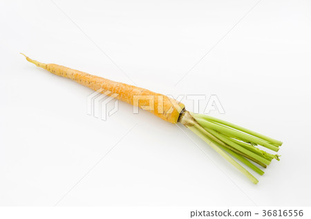 Island carrot Island carrot 36816556