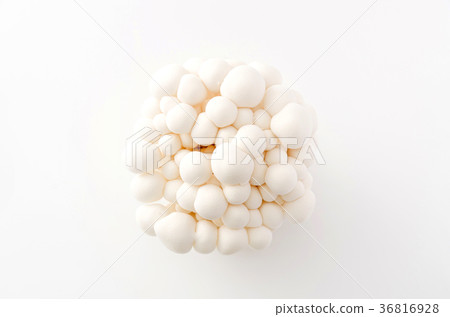 White Bunashimeji White Bunashimeji 36816928