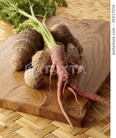 Kintoki Ginseng Taro Kintoki Ginseng Taro 36817056