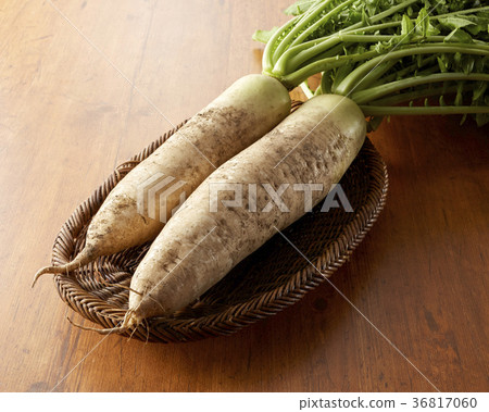 Freshly picked blue neck radish 36817060
