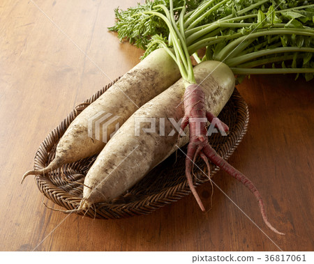 Freshly picked blue neck radish and gold hour ginseng 36817061