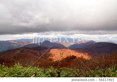 從Futatsu Mori的山頂和山毛櫸森林的秋葉，在白山和Kusakaka山上大量落下的雲 36817465